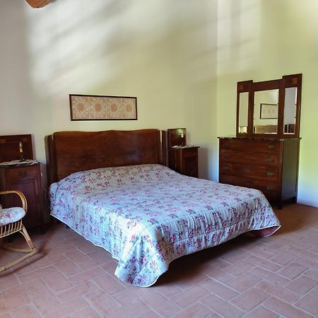 Casa Daria, Armonia Del Passato Nel Rispetto Della Natura Donoratico Bagian luar foto