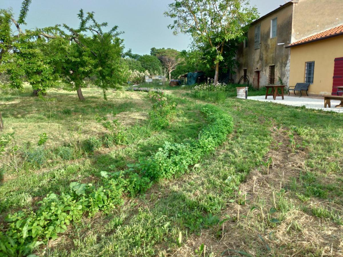 Casa Daria, Armonia Del Passato Nel Rispetto Della Natura Donoratico Bagian luar foto